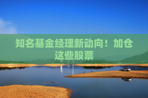 知名基金经理新动向！加仓这些股票