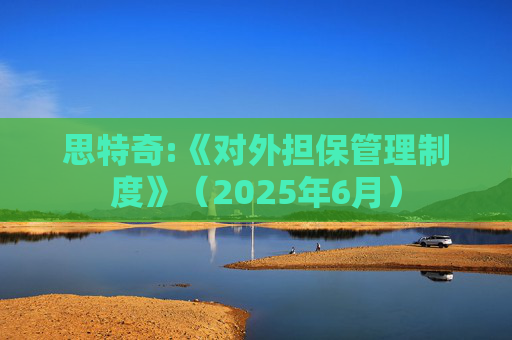 思特奇:《对外担保管理制度》（2025年6月）