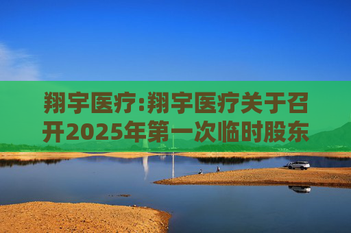 翔宇医疗:翔宇医疗关于召开2025年第一次临时股东大会的通知