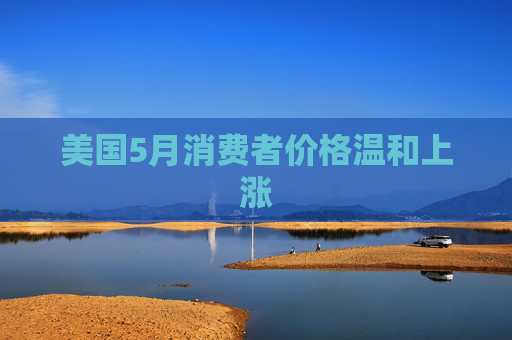 美国5月消费者价格温和上涨  第1张