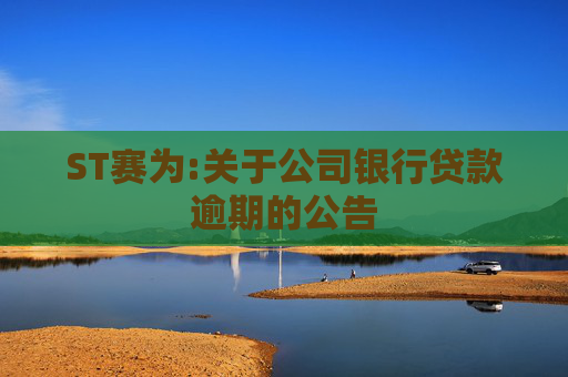 ST赛为:关于公司银行贷款逾期的公告