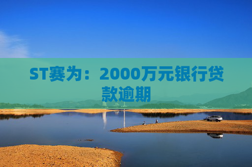 ST赛为：2000万元银行贷款逾期