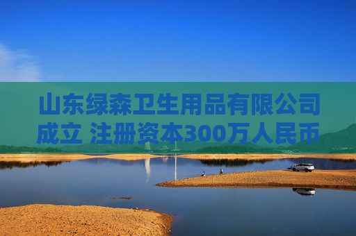 山东绿森卫生用品有限公司成立 注册资本300万人民币
