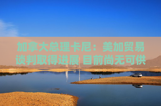 加拿大总理卡尼：美加贸易谈判取得进展 目前尚无可供签署的协议