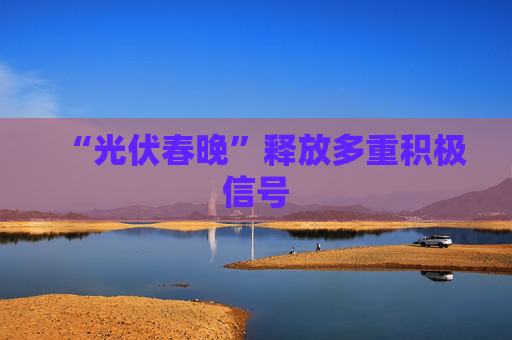 “光伏春晚”释放多重积极信号  第1张