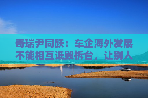 奇瑞尹同跃：车企海外发展不能相互诋毁拆台，让别人笑话
