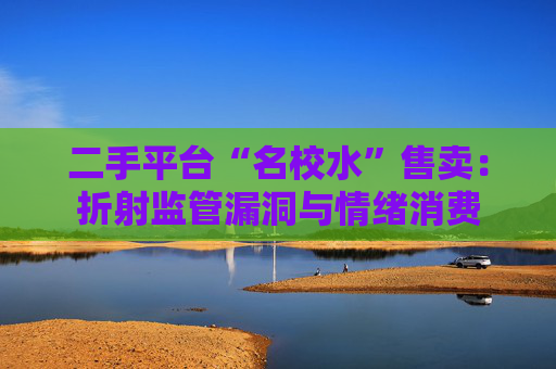 二手平台“名校水”售卖：折射监管漏洞与情绪消费