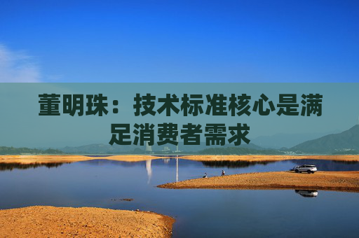 董明珠：技术标准核心是满足消费者需求