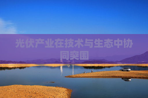 光伏产业在技术与生态中协同突围