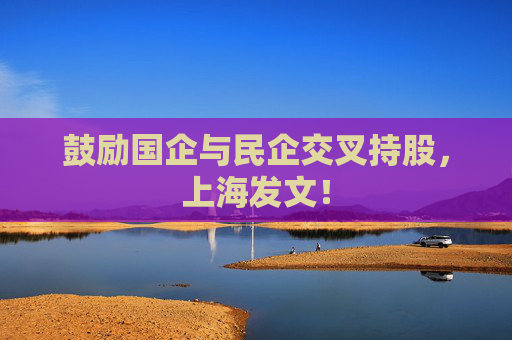 鼓励国企与民企交叉持股，上海发文！