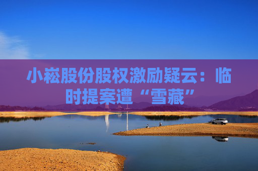 小崧股份股权激励疑云：临时提案遭“雪藏”