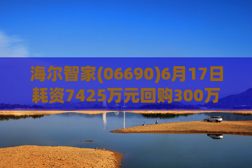 海尔智家(06690)6月17日耗资7425万元回购300万股A股