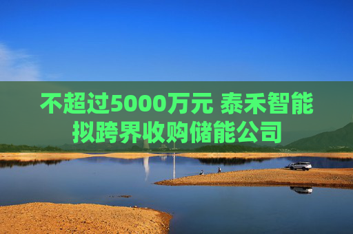 不超过5000万元 泰禾智能拟跨界收购储能公司