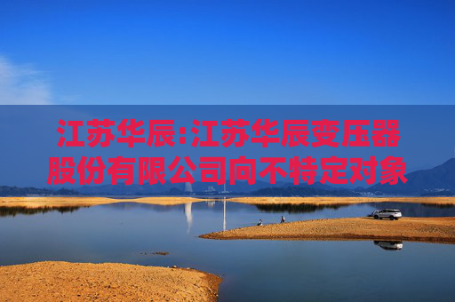 江苏华辰:江苏华辰变压器股份有限公司向不特定对象发行可转换公司债券信用评级报告