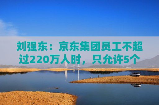 刘强东：京东集团员工不超过220万人时，只允许5个组织层级