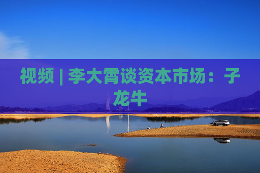 视频 | 李大霄谈资本市场：子龙牛