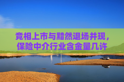 竞相上市与黯然退场并现，保险中介行业含金量几许