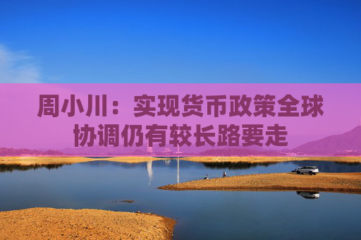 周小川：实现货币政策全球协调仍有较长路要走
