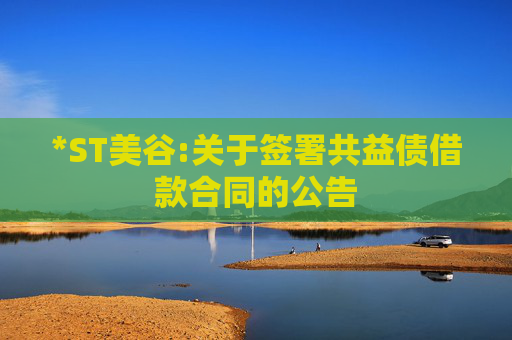 *ST美谷:关于签署共益债借款合同的公告
