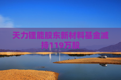 天力锂能股东新材料基金减持119万股