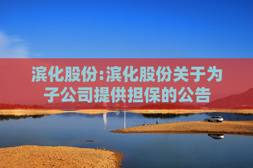 滨化股份:滨化股份关于为子公司提供担保的公告