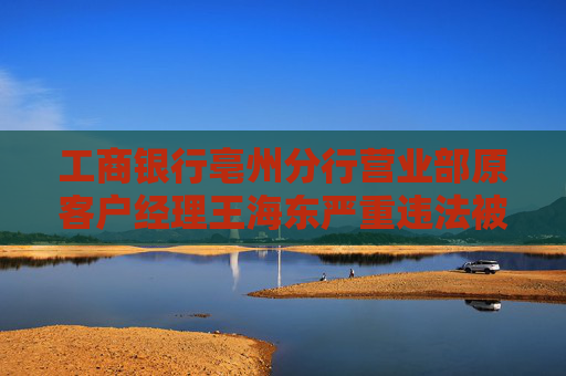 工商银行亳州分行营业部原客户经理王海东严重违法被开除公职