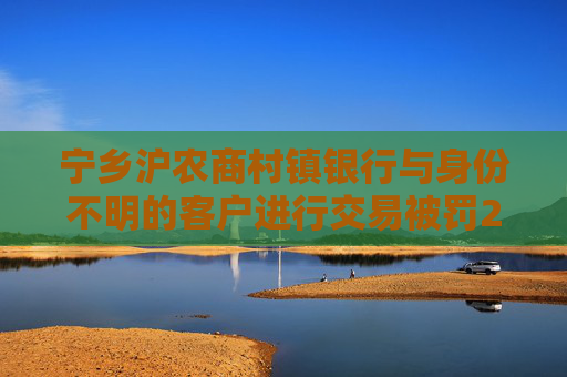 宁乡沪农商村镇银行与身份不明的客户进行交易被罚20万元