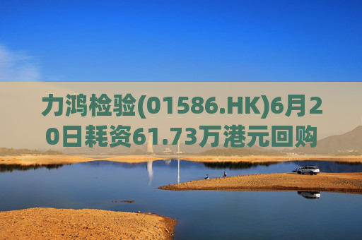 力鸿检验(01586.HK)6月20日耗资61.73万港元回购25.2万股