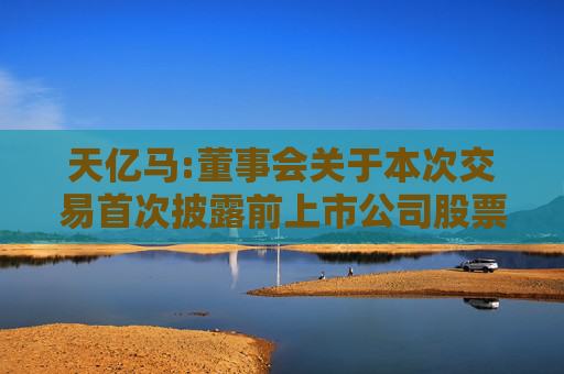 天亿马:董事会关于本次交易首次披露前上市公司股票价格波动情况的说明