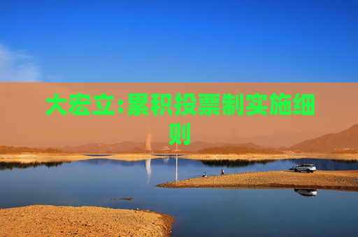 大宏立:累积投票制实施细则