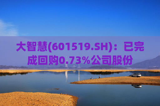 大智慧(601519.SH)：已完成回购0.73%公司股份