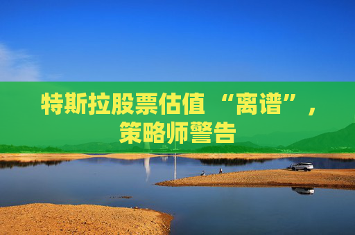 特斯拉股票估值 “离谱”，策略师警告