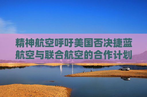 精神航空呼吁美国否决捷蓝航空与联合航空的合作计划