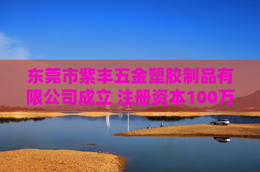 东莞市紫丰五金塑胶制品有限公司成立 注册资本100万人民币