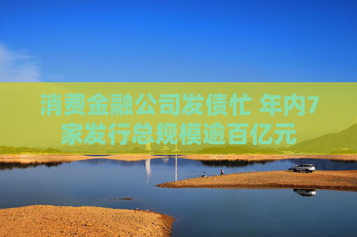 消费金融公司发债忙 年内7家发行总规模逾百亿元