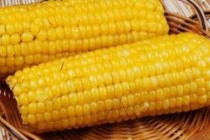 如何确定玉米期权持仓限额？限额对市场参与者有何影响？