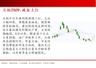 中天期货:白糖震荡下行 橡胶短期仍偏弱
