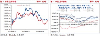 短期玉米调整为主 后续仍存上涨空间