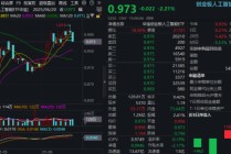 AI应用领跌，159363下挫逾2%失守两根均线！华为发布全新鸿蒙智能体，能否点燃行情？