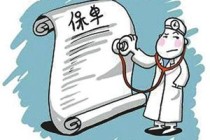 如何查询与车辆保单相关事宜？查询方式有哪些差异？