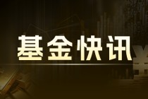 中证系列指数下跌：小盘成长风格占优