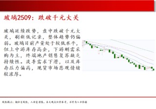 中天期货:白糖震荡下行 橡胶短期仍偏弱