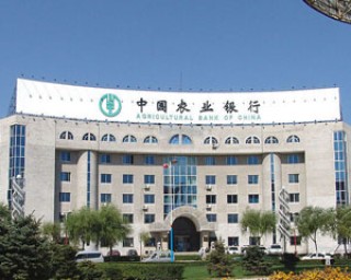 如何优化自己的银行服务体验？