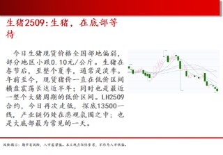 中天期货:白糖震荡下行 橡胶短期仍偏弱