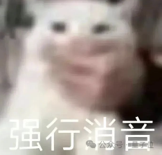 黄仁勋放话：中国AI市场3年内达500亿美元！AI救了旧金山，整个世界急于与AI互动  第3张