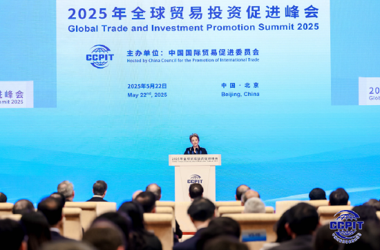 新开发银行行长罗塞芙：中国正通过开源和低成本提供合作路径，DeepSeek就是一例  第1张