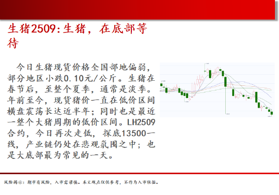 中天期货:白糖震荡下行 橡胶短期仍偏弱  第4张