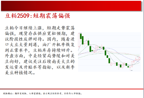 中天期货:螺纹再下台阶 棉花震荡下行  第9张