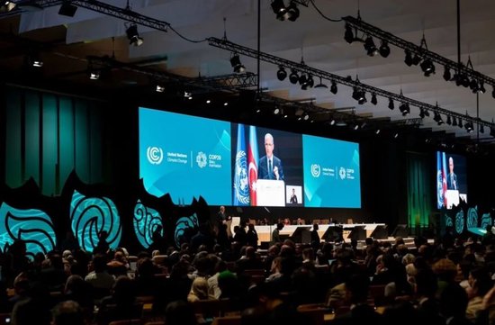 张向东：展望2025，有机食物与未来的探索和实践  第10张