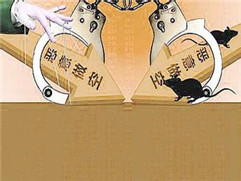 如何确定做期权看什么指标最好?指标的作用是什么? 第1张 如何确定做期权看什么指标最好?指标的作用是什么? 第1张